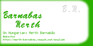 barnabas merth business card